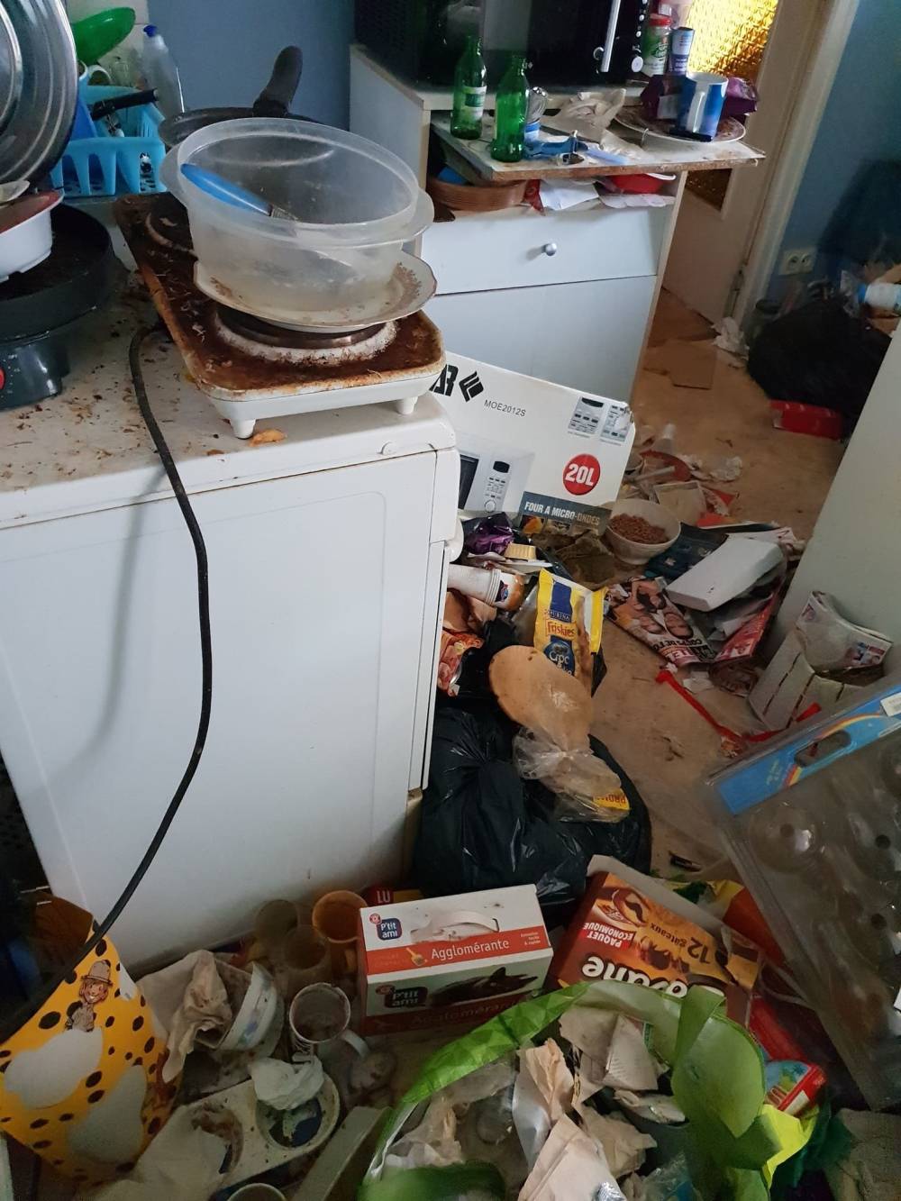 appartement insalubre 2