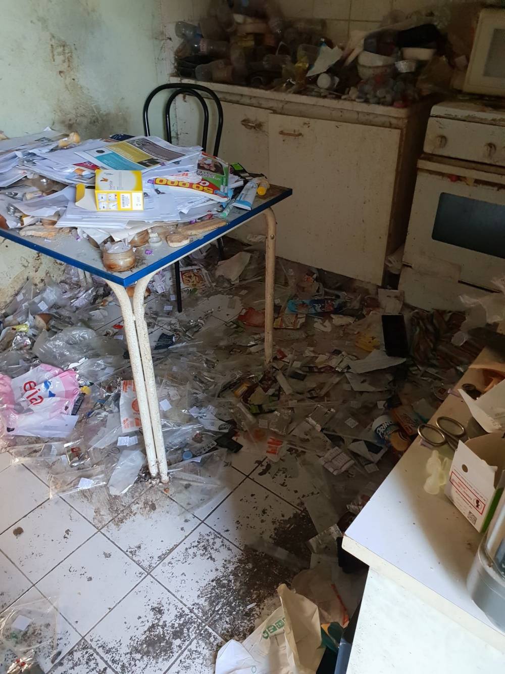 appartement insalubre 4